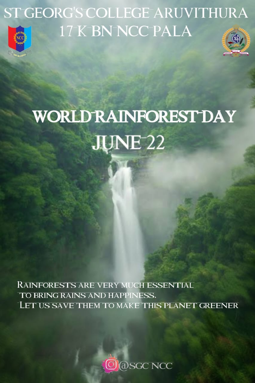 World Rainforest Day